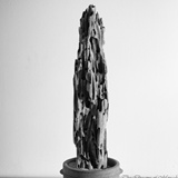 dailyPhoto8